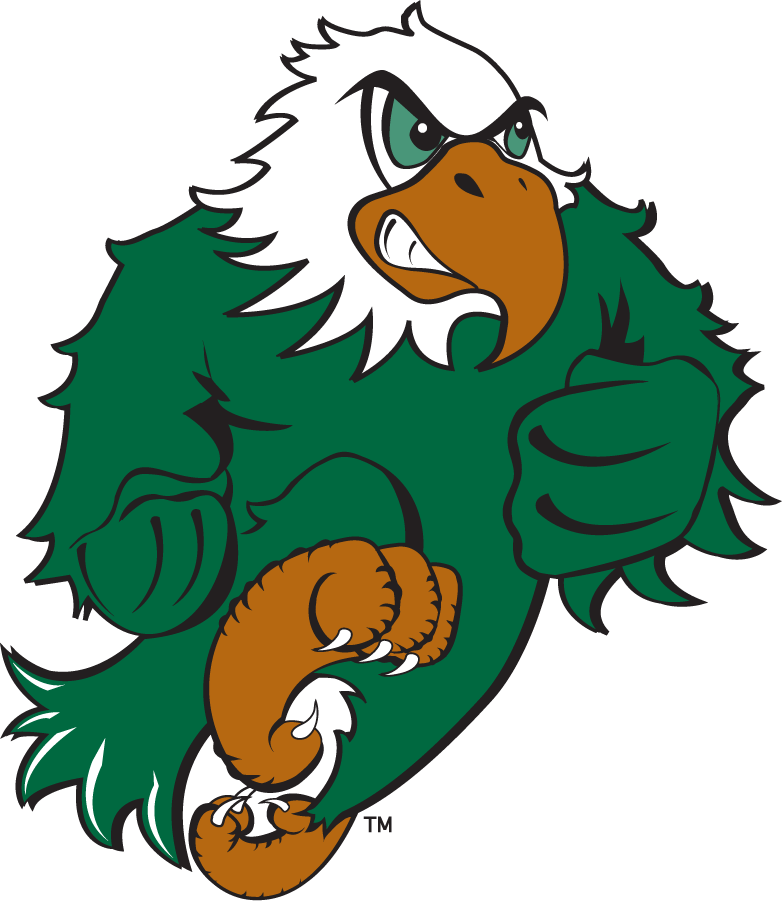 North Texas Mean Green 2003-2005 Mascot Logo DIY iron on transfer (heat transfer)